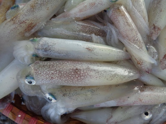 dac_san_xu_nghe_cung_cap_hai_san_dac_san_so_1_o_ha_noi_mota_muc nhay cua lo mon an khong the bo lo 01